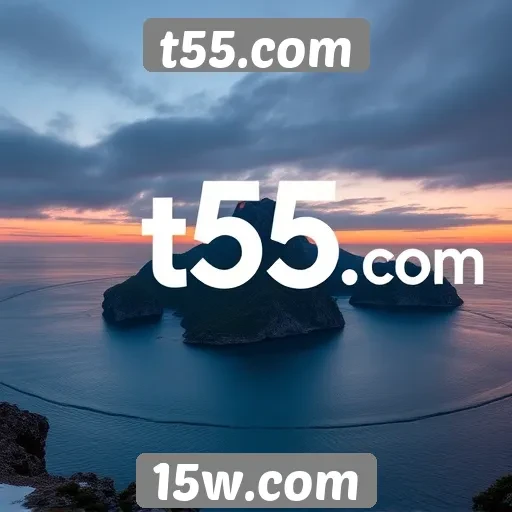 Melhores práticas de uso no t55.com